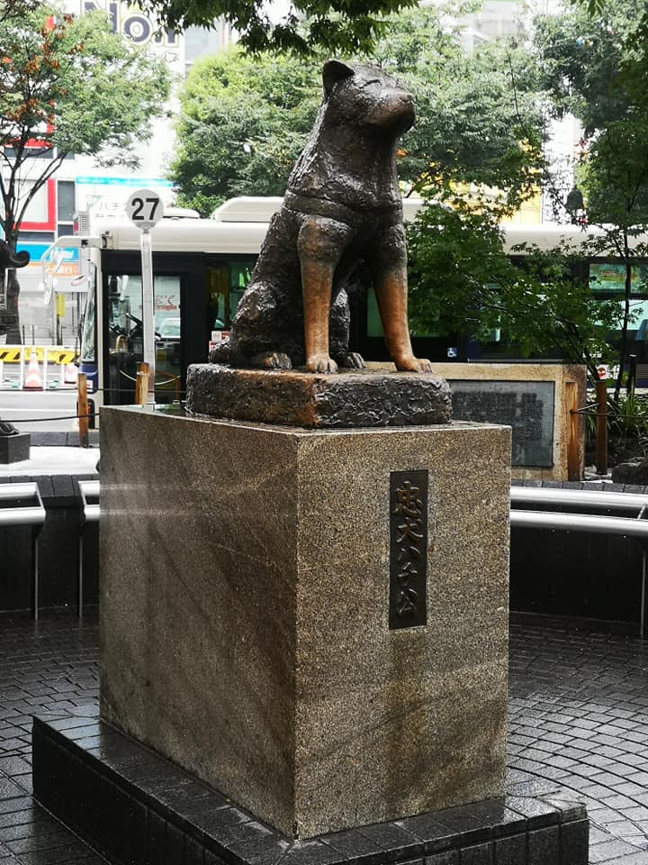รูปปั้นฮาจิโกะ สุนัขผู้ซื่อสัตย์ (Shibuya)