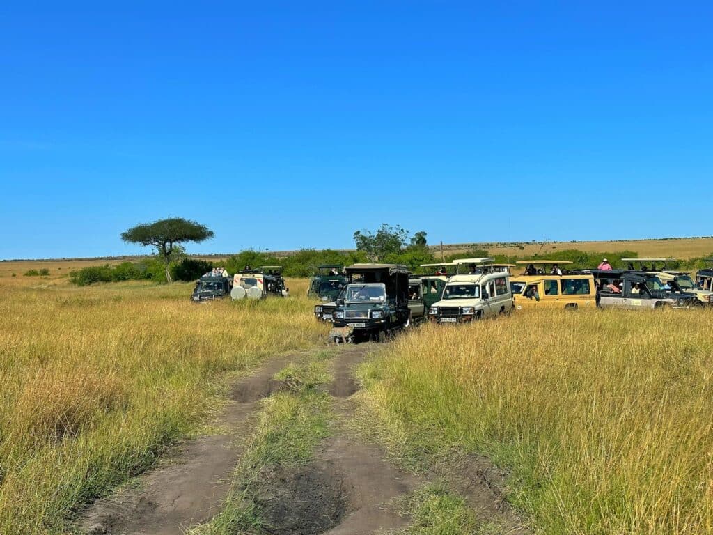 อุทยานแห่งชาติมาไซมาร่า Masai Mara National Reserve