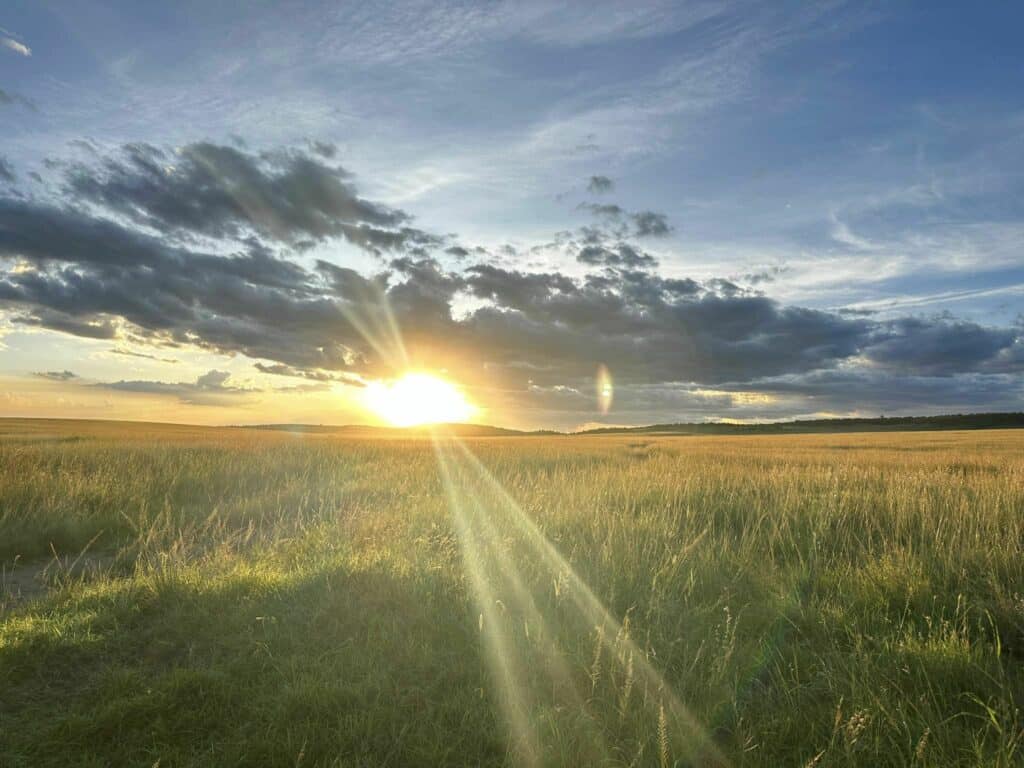 พระอาทิตย์ตกดินที่ทุ่งหญ้าสะวันน่า Masai Mara Kenya