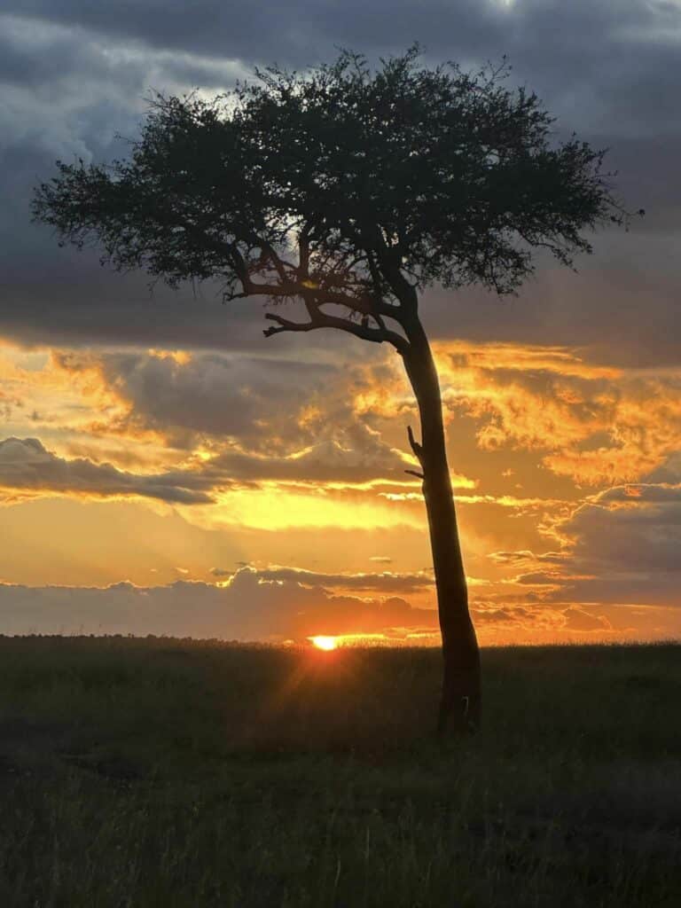 พระอาทิตย์ตกดินที่ทุ่งหญ้าสะวันน่า Masai Mara Kenya